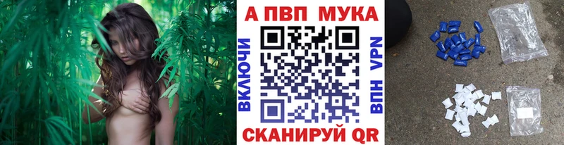 A-PVP СК КРИС  Северская 