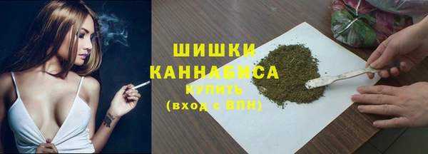 сатива Богданович