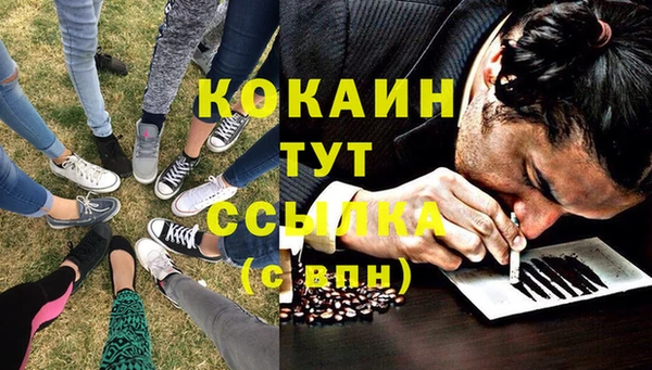 прущий лед Богородицк