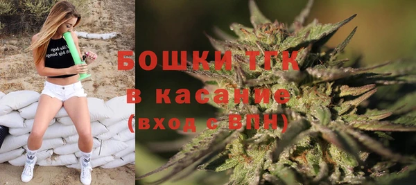 сатива Богданович