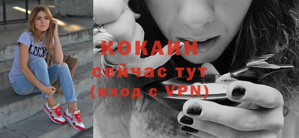 хмурый Богородск