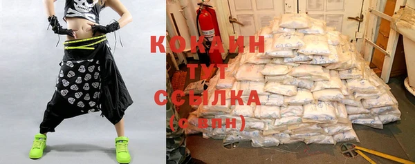 сатива Богданович