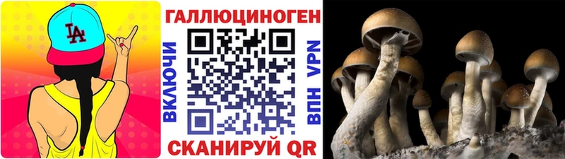 купить наркотики сайты  Северская  Псилоцибиновые грибы MAGIC MUSHROOMS 
